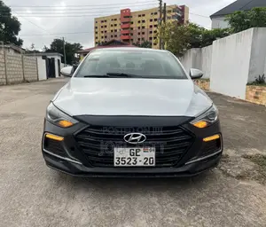 Hyundai Elantra 2017 Gray