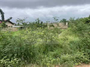 One Plot at Amasaman 3junction Ardeyman