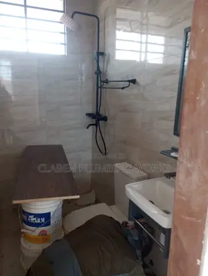 Professional Plumber