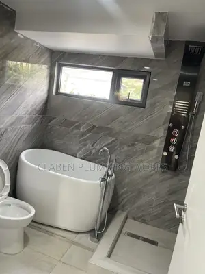 Professional Plumber