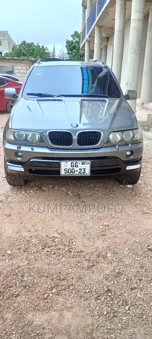BMW X5 3.0i 2002 Gray