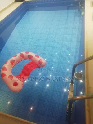 Swimming Pool Cleaning