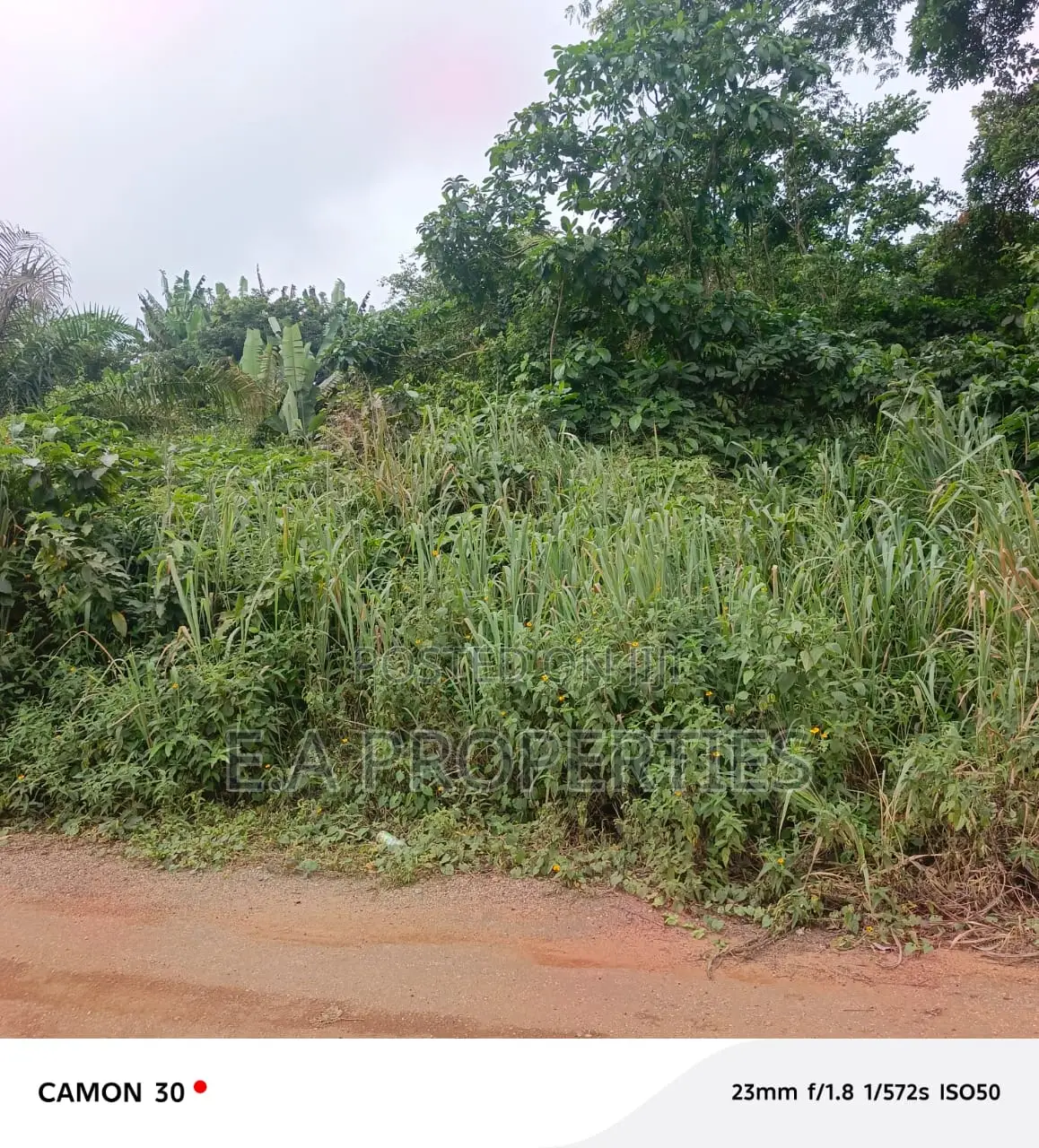 Land for Sale 30 Acres Aburi Ahwerase
