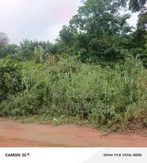 Land for Sale 30 Acres Aburi Ahwerase