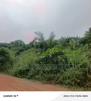 Land for Sale 30 Acres Aburi Ahwerase