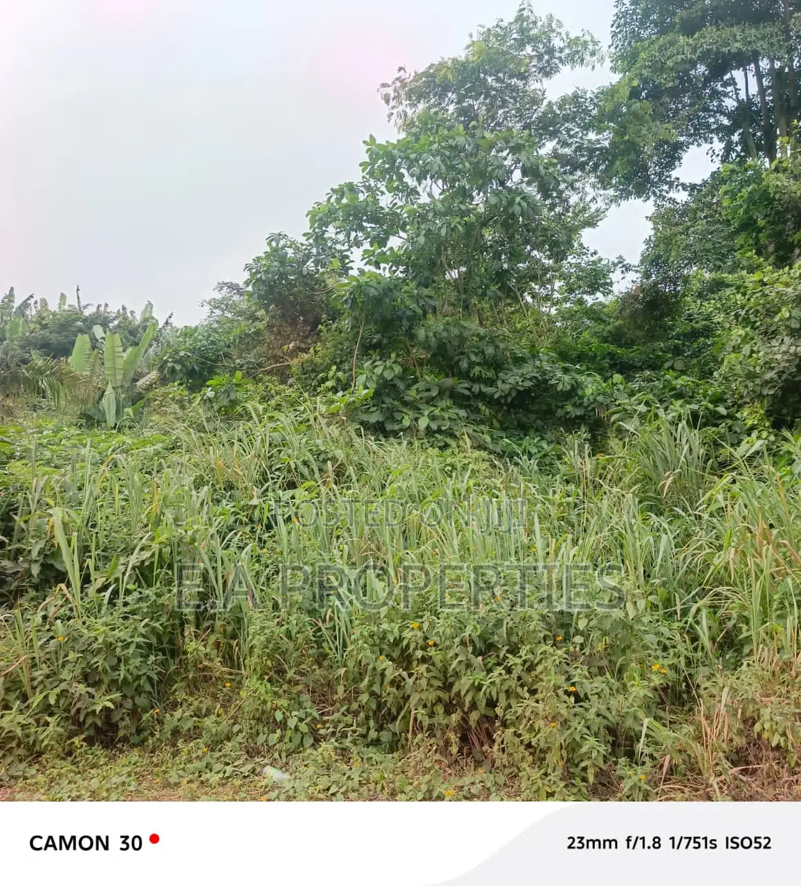 Land for Sale 30 Acres Aburi Ahwerase