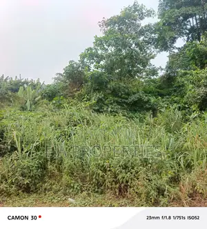 Land for Sale 30 Acres Aburi Ahwerase