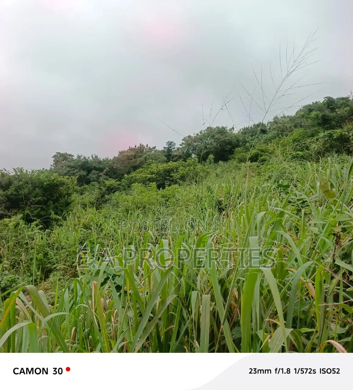 6plots for Land for Sale at Aburi Peduase
