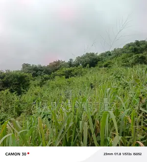 6plots for Land for Sale at Aburi Peduase