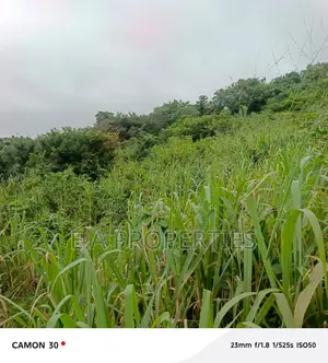 6plots for Land for Sale at Aburi Peduase