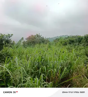 6plots for Land for Sale at Aburi Peduase