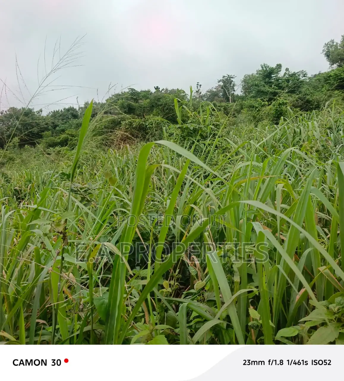6plots for Land for Sale at Aburi Peduase