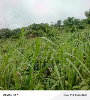6plots for Land for Sale at Aburi Peduase
