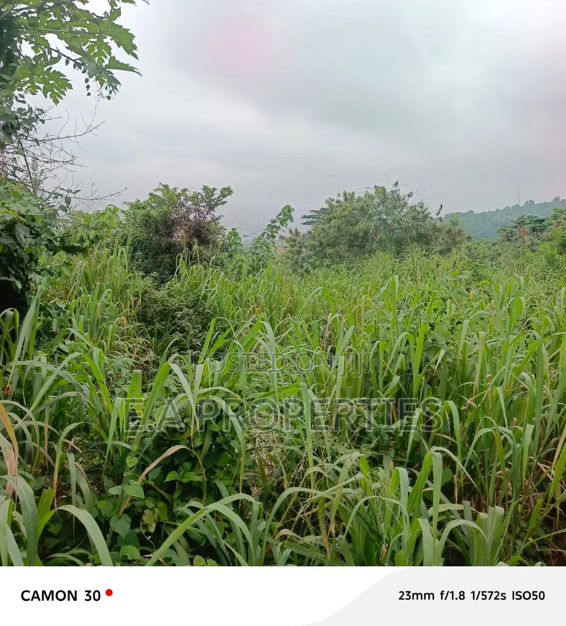 6plots for Land for Sale at Aburi Peduase