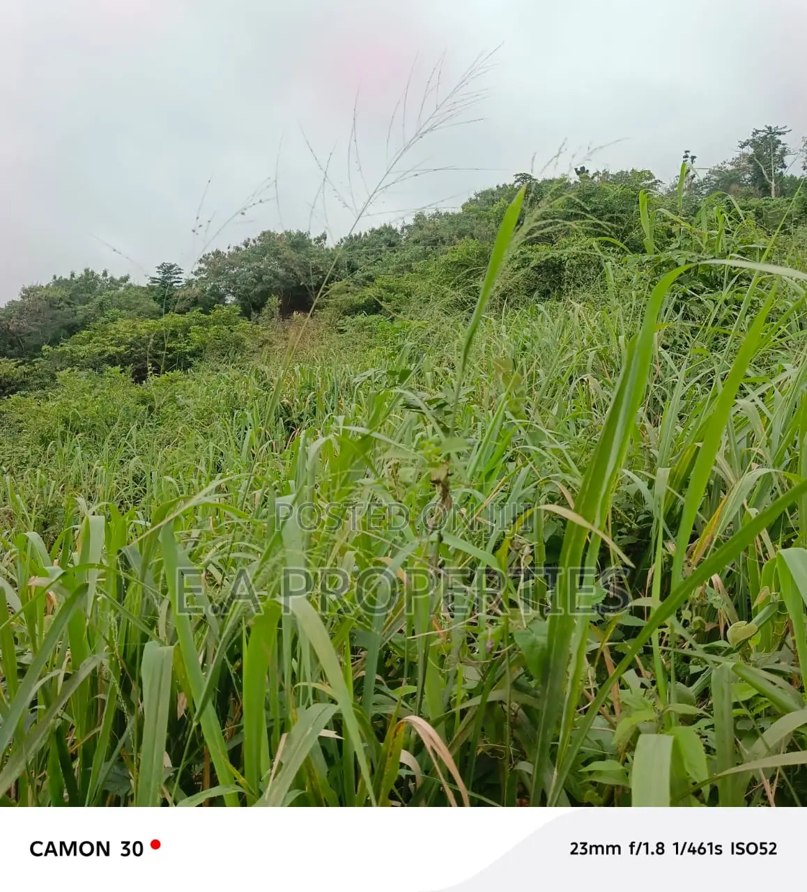 6plots for Land for Sale at Aburi Peduase