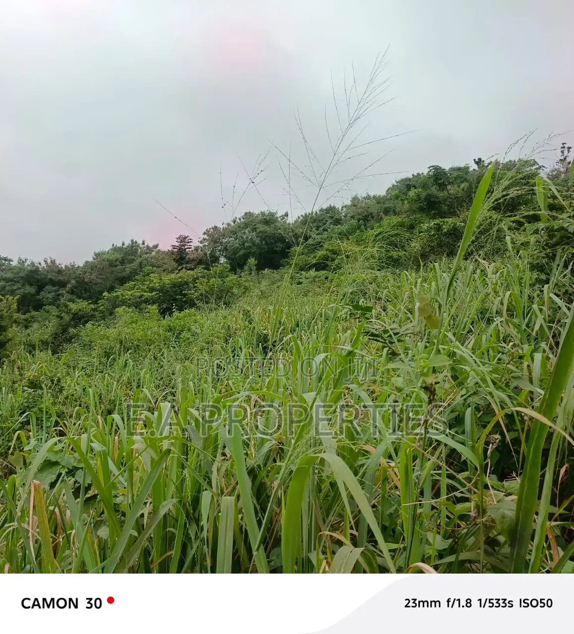 6plots for Land for Sale at Aburi Peduase