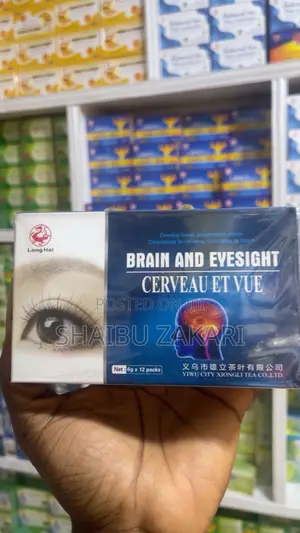 Brain and Eyesight Cerveau Et Vue
