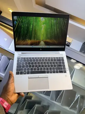 Laptop HP EliteBook 745 G6 16GB AMD Ryzen 5 SSD 256GB