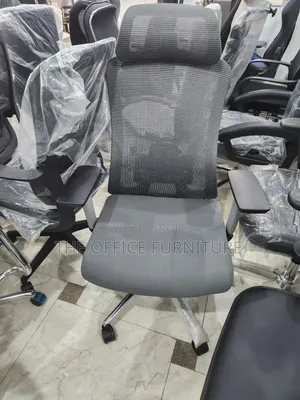 Executive Mesh Chair