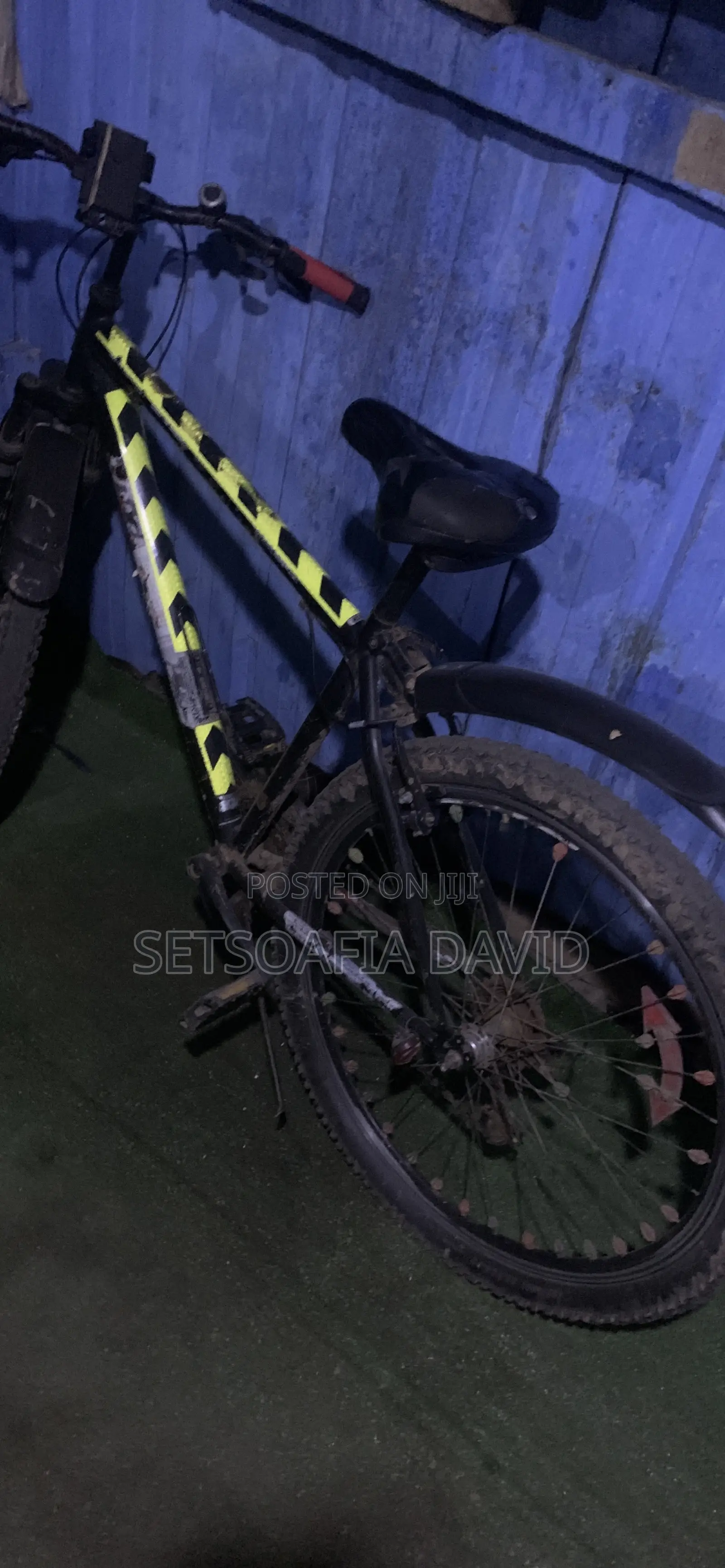 Mountain Bike