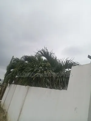 1bdrm Apartment in Tipper J, Oyarifa, Ghana Flag for rent