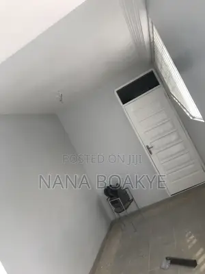 Professional Painter