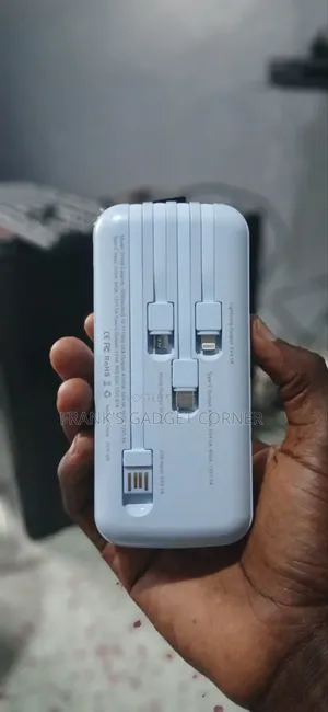 Ski Power 30000mah Power Bank