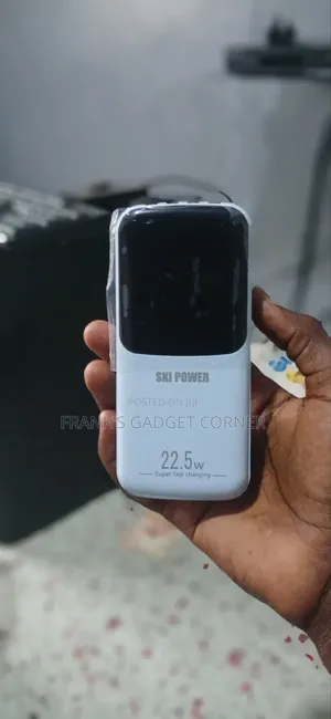 Ski Power 30000mah Power Bank