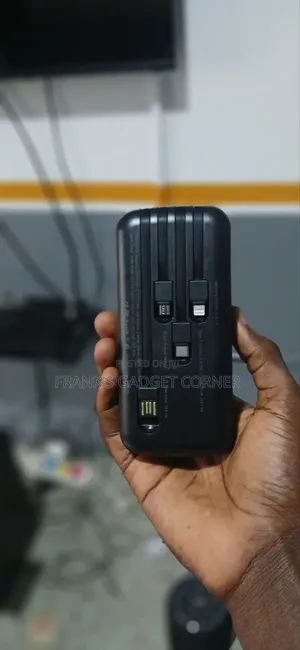 Ski Power 30000mah Power Bank
