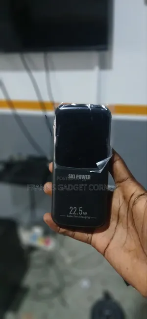 Ski Power 30000mah Power Bank