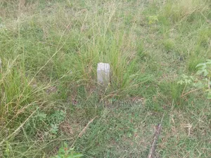 Half Plot of Land for Sale