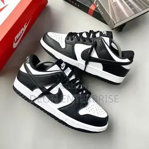 Nike Air SB Dunk Black