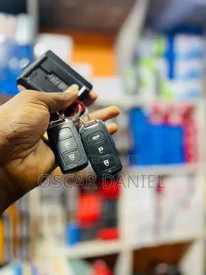 Remote Control Keyless Entry System for Cars Available