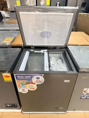 Nasco 150lts Freezer