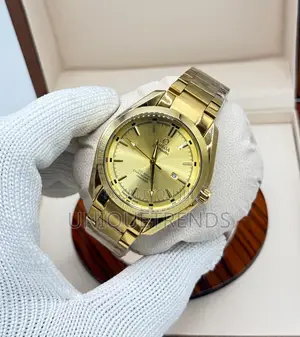 OMEGA Seamaster Aqua Terra Watch (Gold)