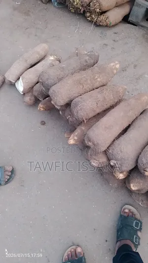 New and Fresh Yam Available for Sell.
