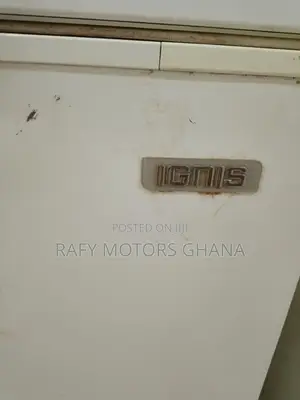 Ignis Double Door Commercial Chest Freezer – Large Capacity