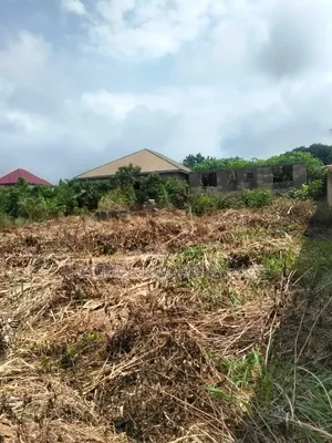 Plot of Land for Sale at Agric Akyeremade