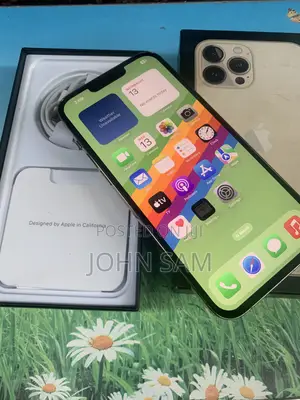 Apple iPhone 13 Pro Max 256 GB Gold