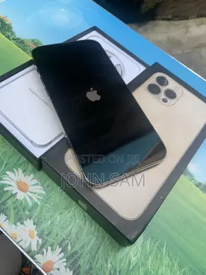 Apple iPhone 13 Pro Max 256 GB Gold