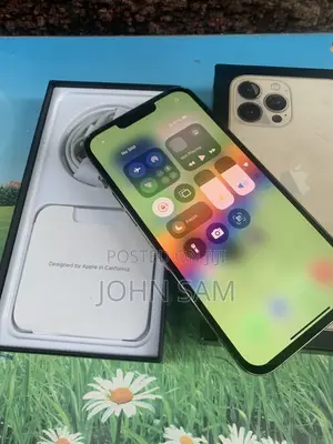 Apple iPhone 13 Pro Max 256 GB Gold