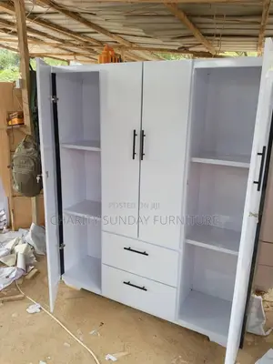 Premium 6/66 Inches Wardrobe