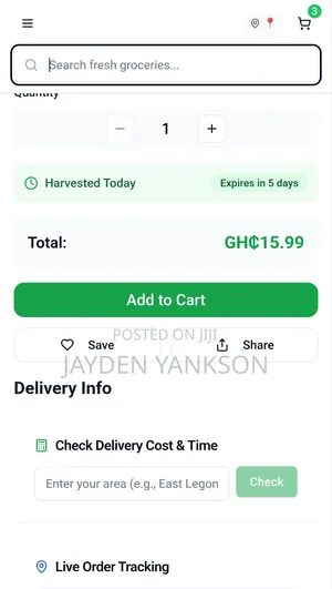 Premium Website Design for Businesses in Ghana