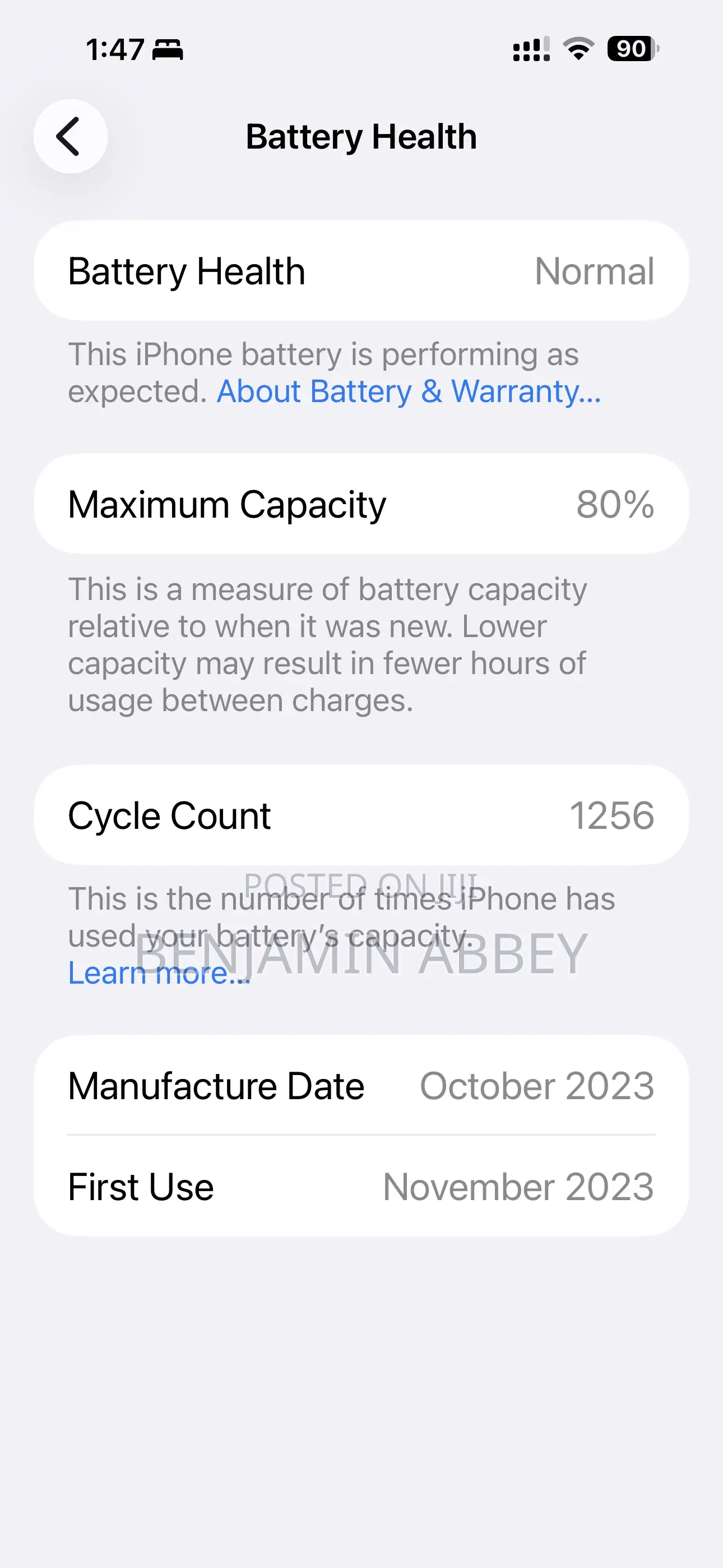 Apple iPhone 15 Pro Max 256 GB Gray