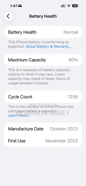 Apple iPhone 15 Pro Max 256 GB Gray