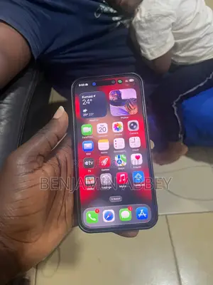 Apple iPhone 15 Pro Max 256 GB Gray