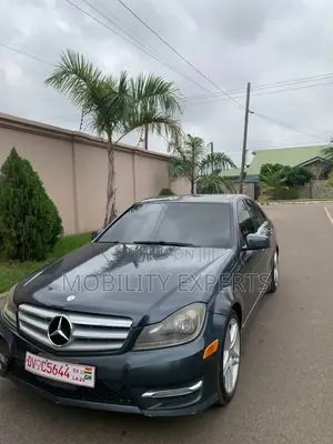 Mercedes-Benz C250 2014 Gray