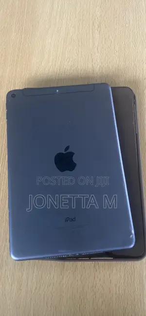 Apple iPad mini 5 64 GB Gray