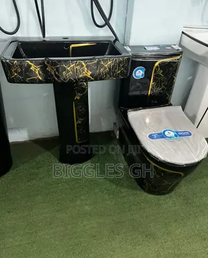 Black and Gold Wc With Basin