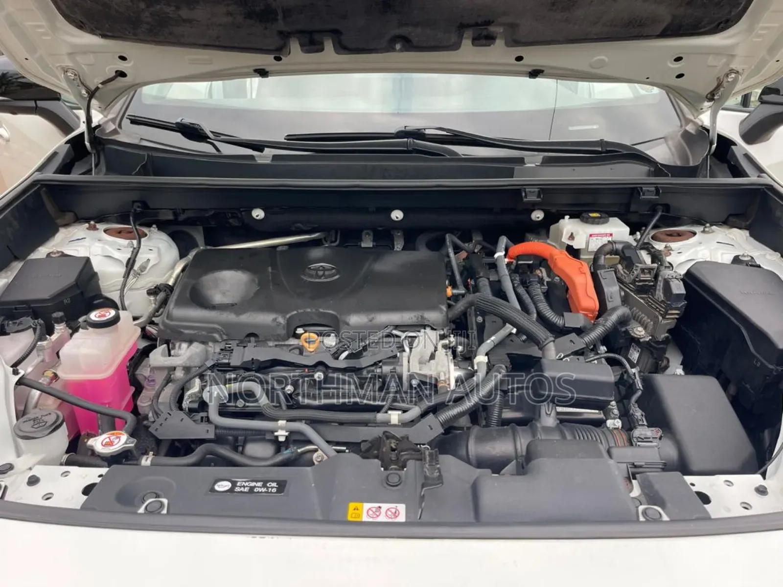 Toyota RAV4 Limited AWD 2020 Pearl